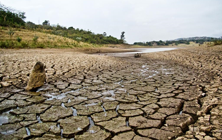 KZN government intervenes to mitigate ongoing drought | Freight News