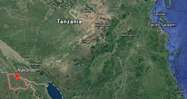 Zambia-Tanzania’s ‘Dar Corridor’ shut as corona cases spike | Freight News