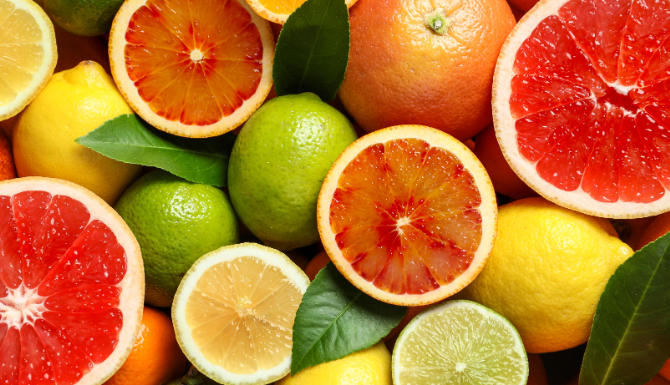 South Africa’s citrus exports to Brics spike | Freight News