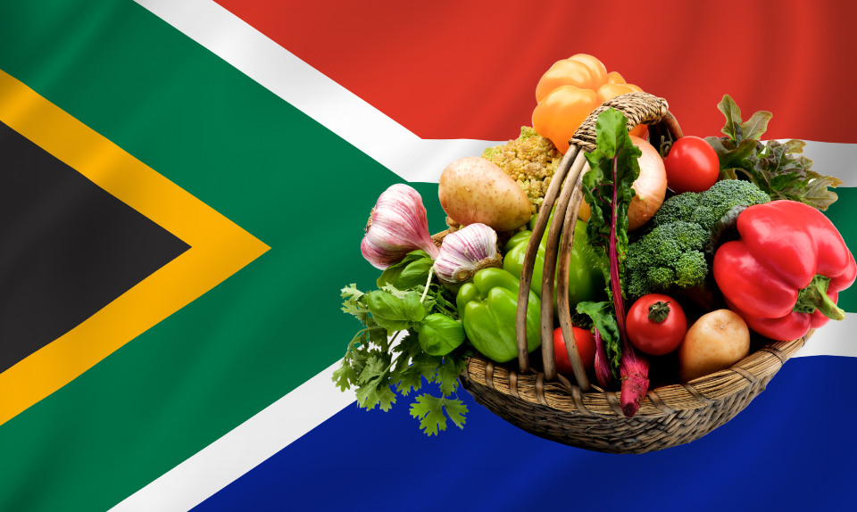 Top 20! SA among the world’s best fruit exporters | Freight News