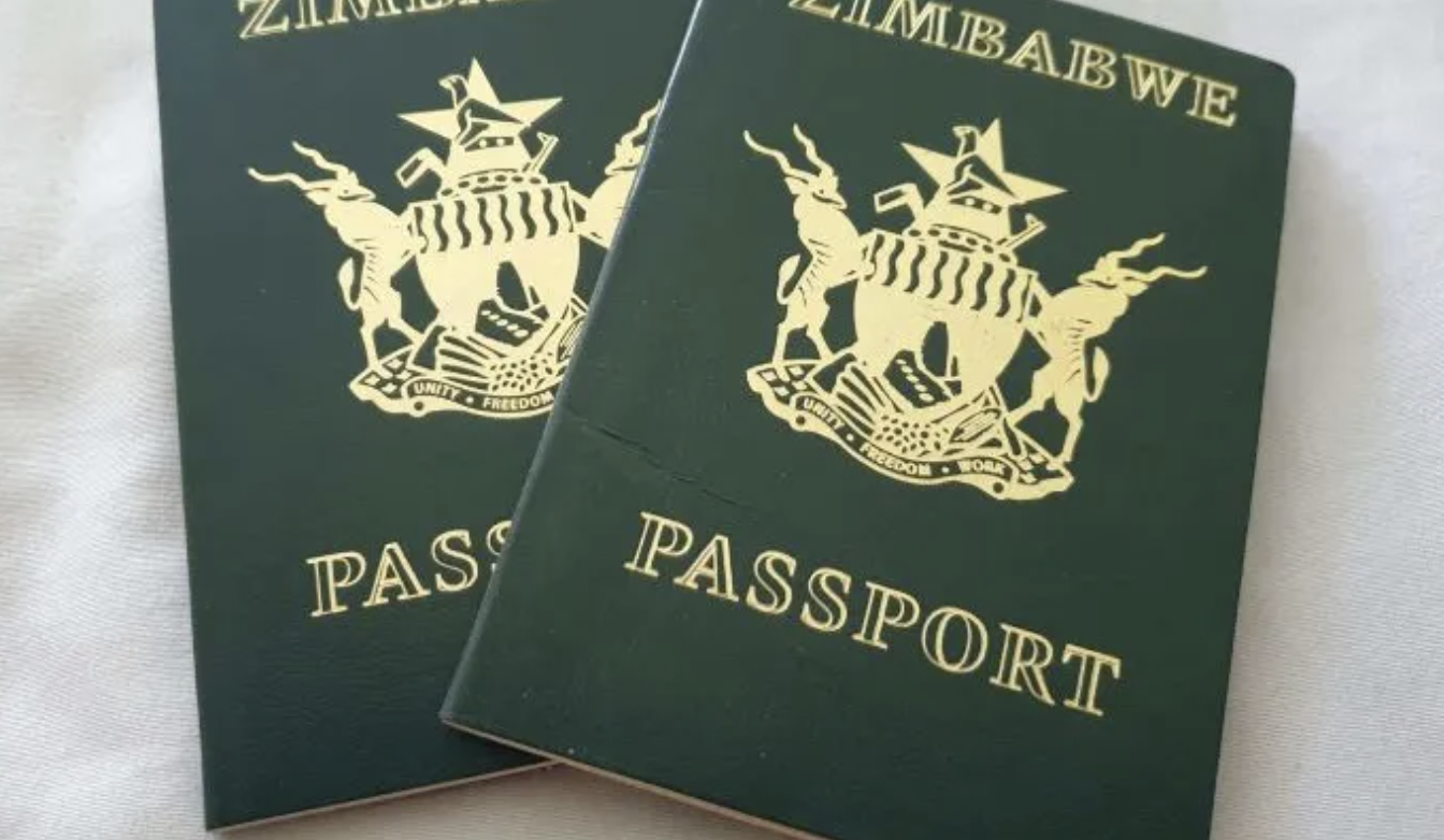 No Passport For Zimbabweans Going To Botswana Freight News 3322