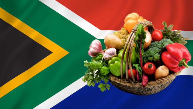 South African fruit industry set to buil