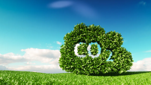 South Africa's Green Industrialisation Drive in Global Decarbonisation Era