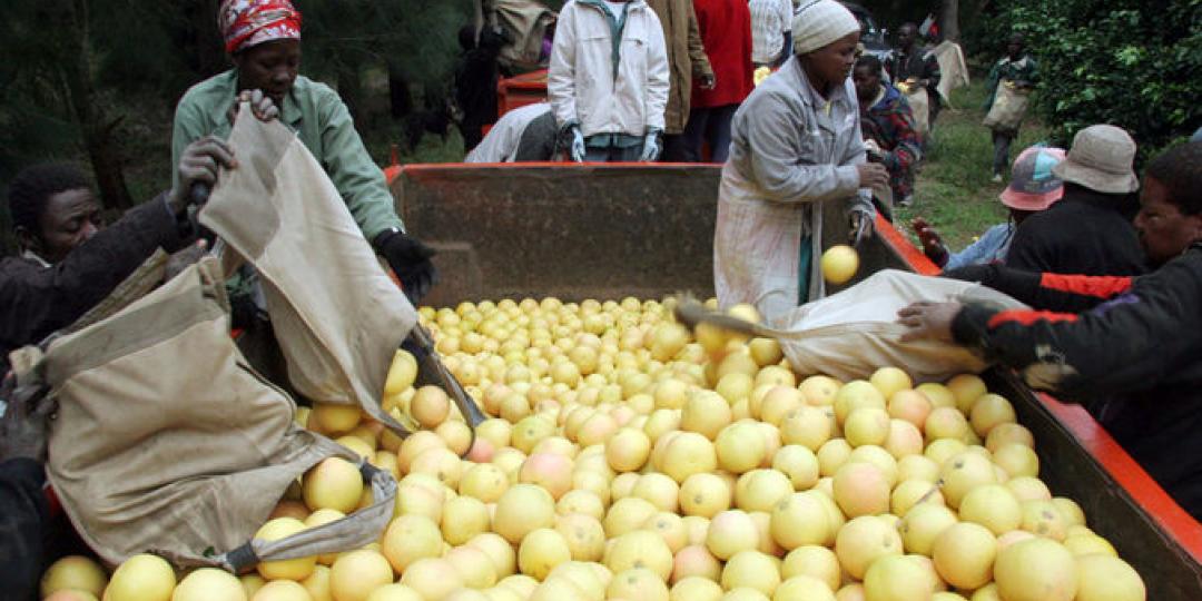 Western Cape-based, ALG Estates, one of the largest growers of South African summer citrus in the country, sends a lot of its fruit to the US market.