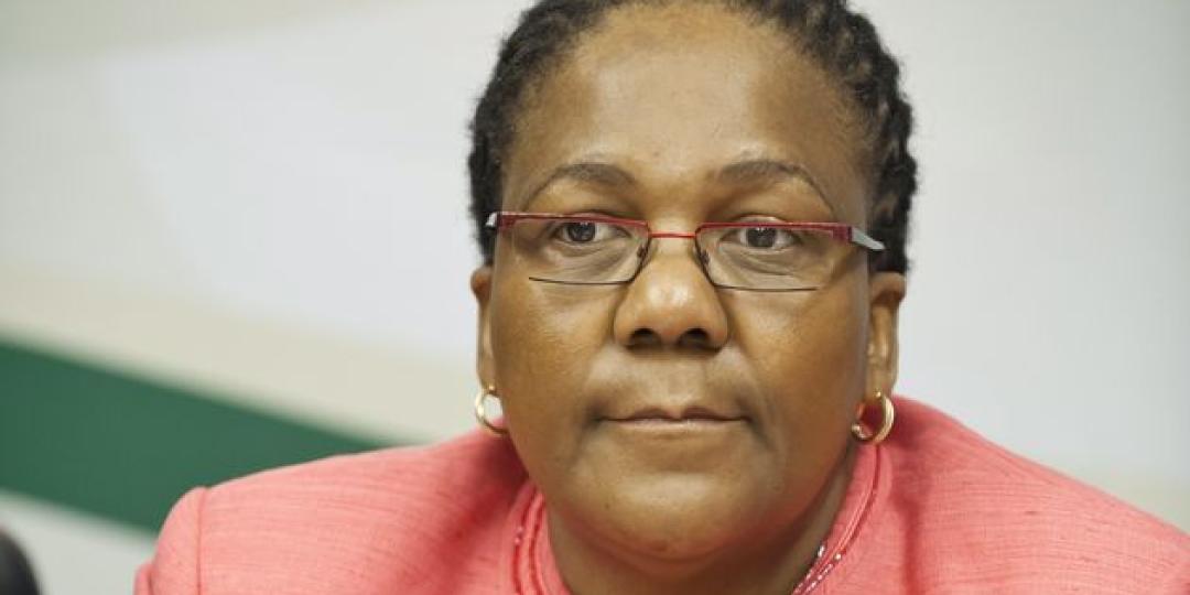 Minister of Transport, Dipuo Peters.