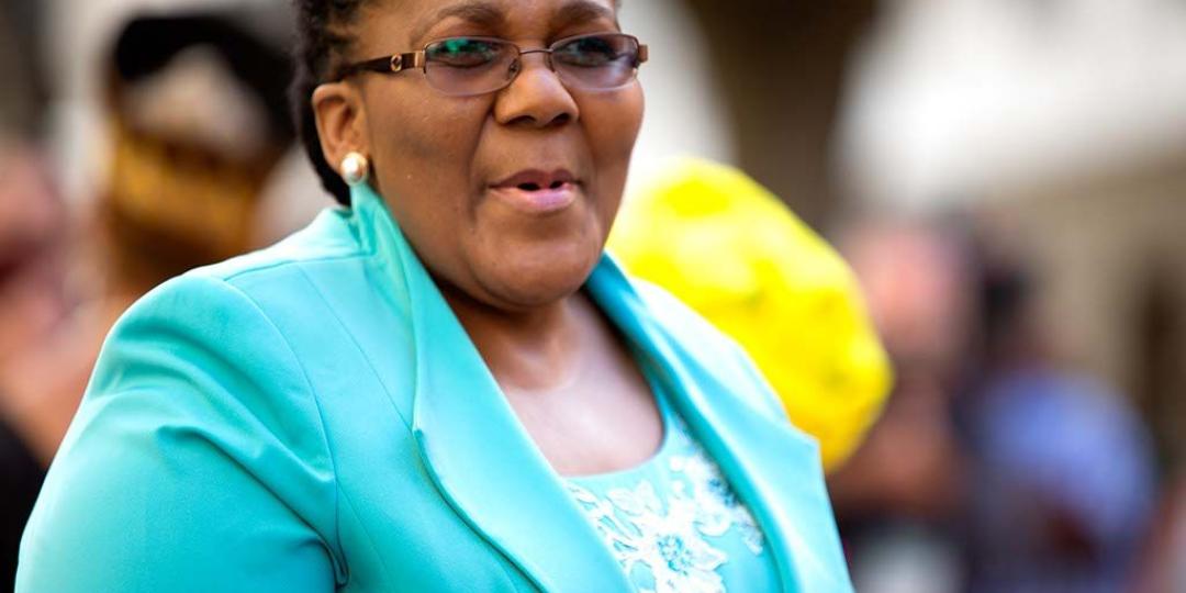 Minister of Transport, Dipuo Peters.