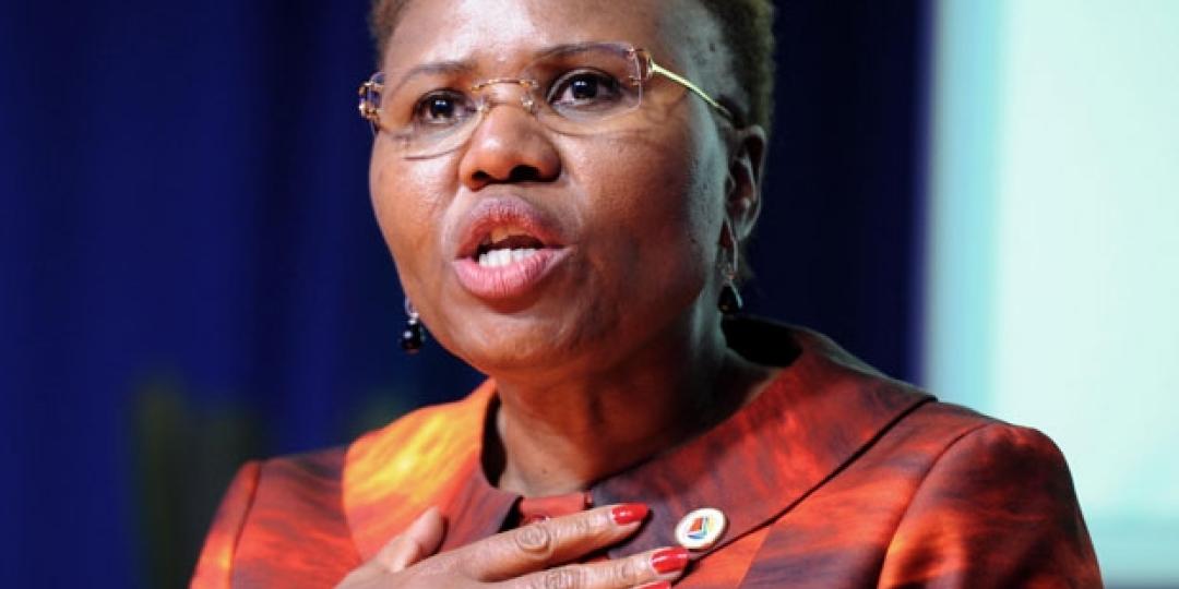 Minister of Small Business Development, Lindiwe Zulu.