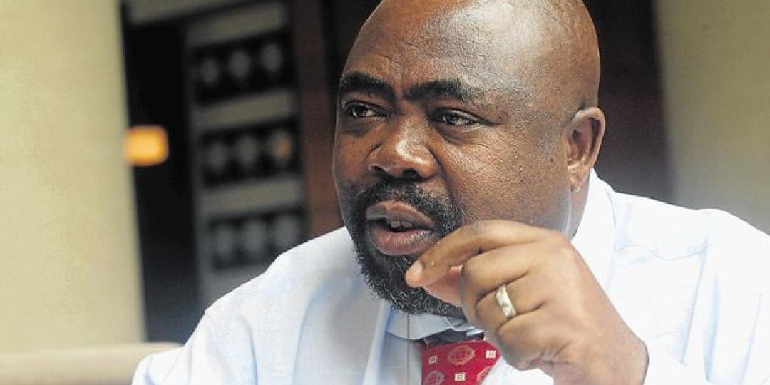 Minister of Public Works, Thulas Nxesi.