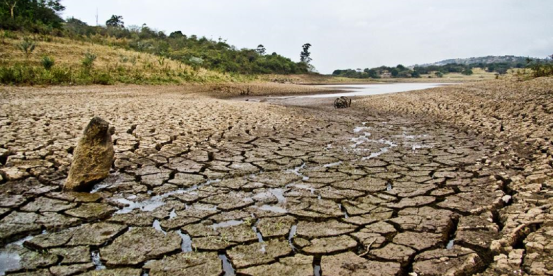 KZN government intervenes to mitigate ongoing drought | Freight News